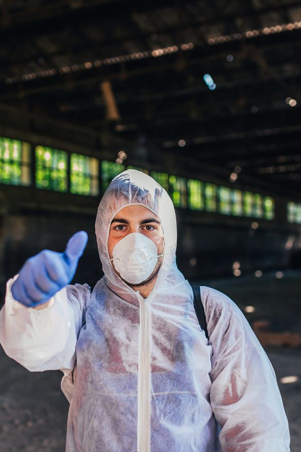 Kammerjäger in Würselen - Schädlingsbekämpfung - Wespen - Ameisen - Mäuse - Ratten - Silberfische - Motten - Tauben - Fliegen - Marder - Schädlinge bekämpfen lassen